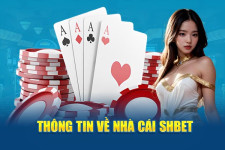 SHBET cung cấp trò chơi xóc đĩa hấp dẫn với tỷ lệ thắng cao